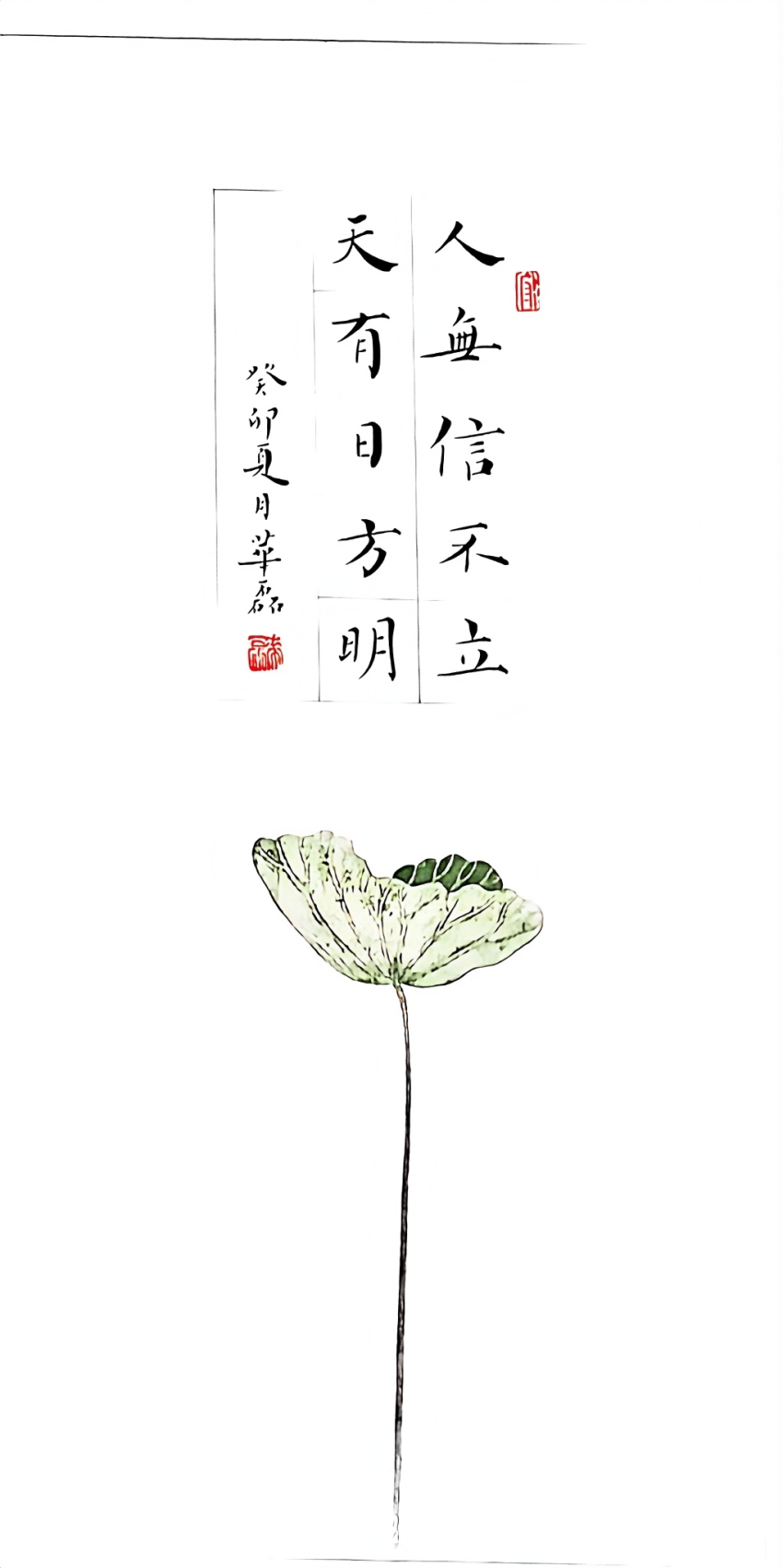字画鉴赏